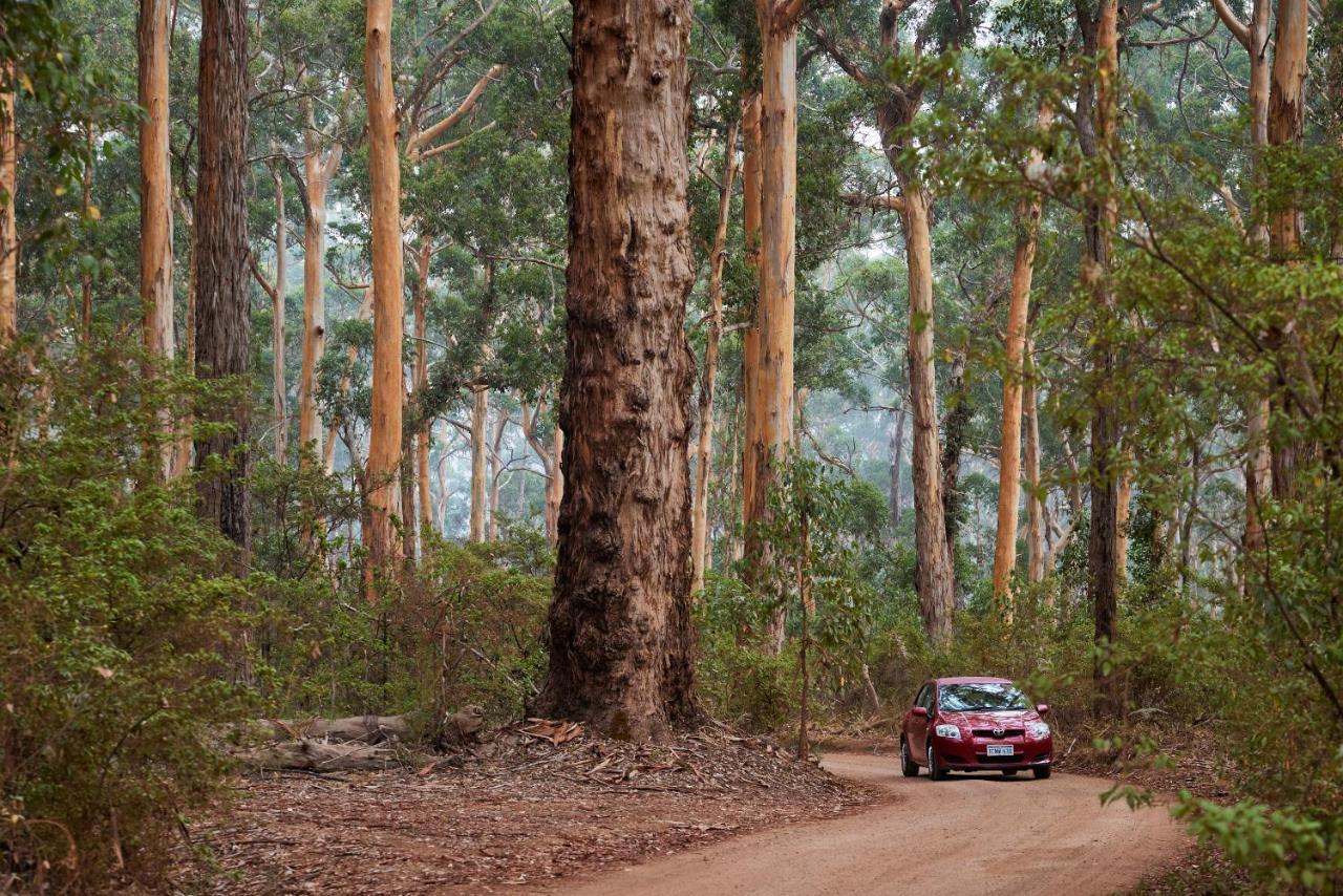 Rac Margaret River Nature Park Экстерьер фото
